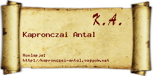 Kapronczai Antal névjegykártya