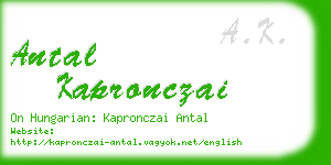 antal kapronczai business card